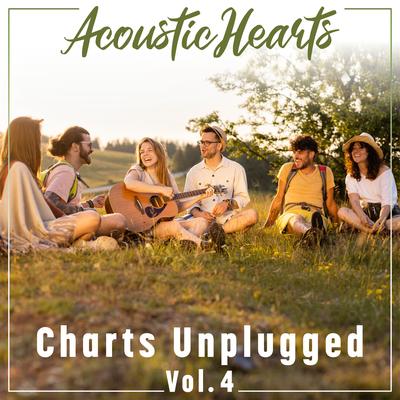 Charts Unplugged, Vol. 4's cover