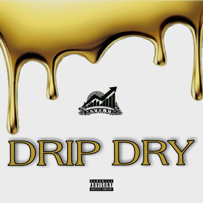 DRIP DRY's cover