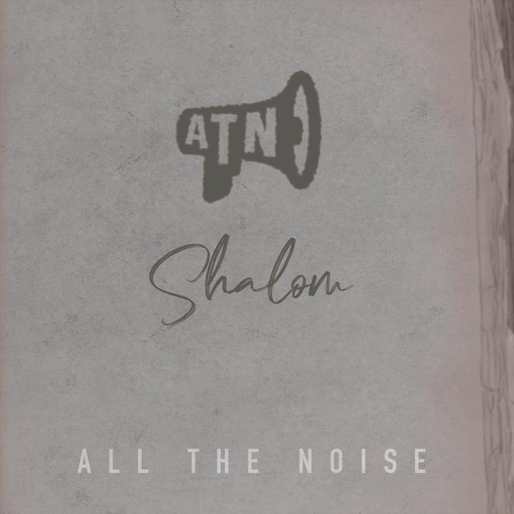 All the Noise's avatar image