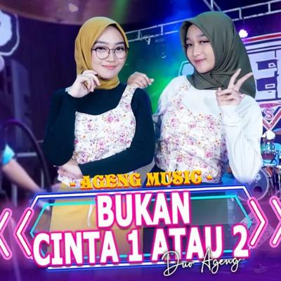 Bukan Cinta 1 Atau 2's cover