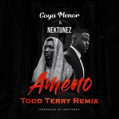 Ameno Amapiano (You Wanna Bamba) (Todd Terry Remix)'s cover