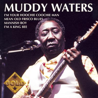 Muddy Waters's cover