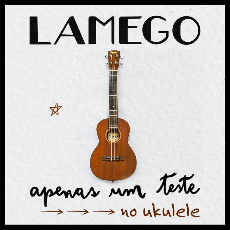 LAMEGO's avatar image