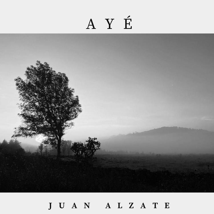 Juan Alzate's avatar image