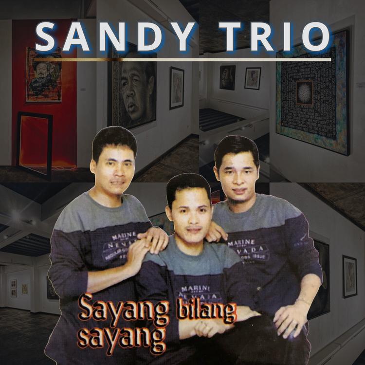 Sandy Trio's avatar image