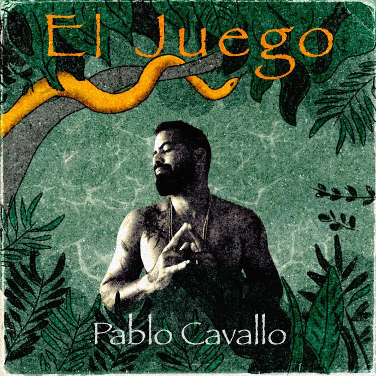 Pablo Cavallo's avatar image