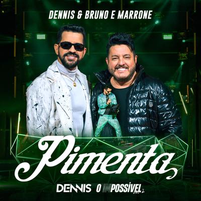 Pimenta (Ao Vivo)'s cover