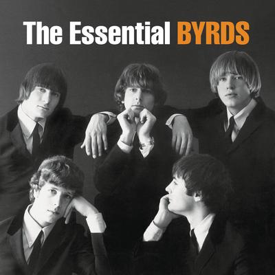 Turn! Turn! Turn! (To Everything There Is a Season) By The Byrds's cover