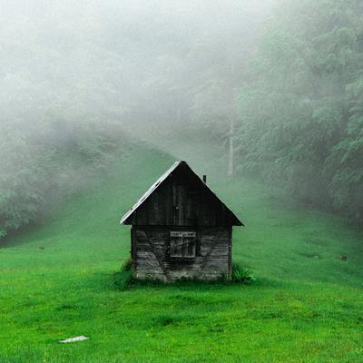 Green Noise - Rain in the Cabin's cover
