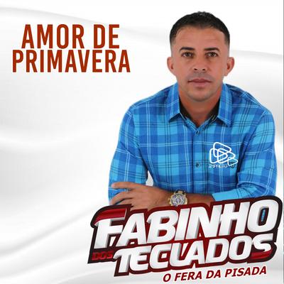 Amor de Primavera (Cover) By Fabinho dos teclados's cover