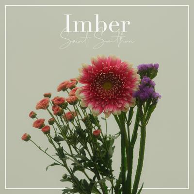 Imber By Saint Swithun's cover