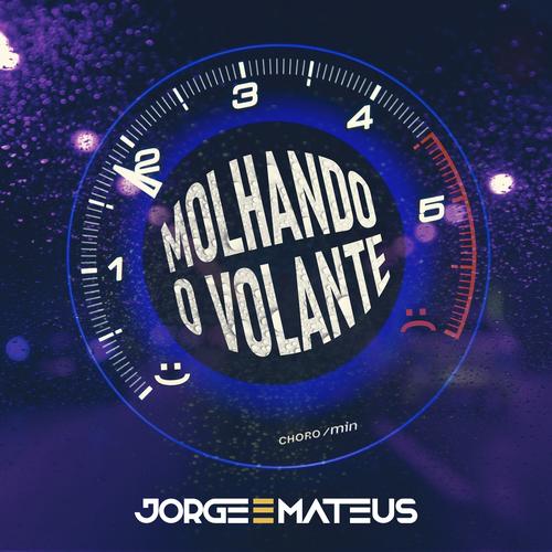 Os Melhores Sertanejos 's cover