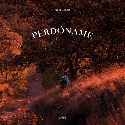 Perdóname's cover