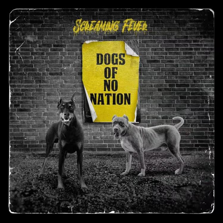Dogs of No Nation's avatar image