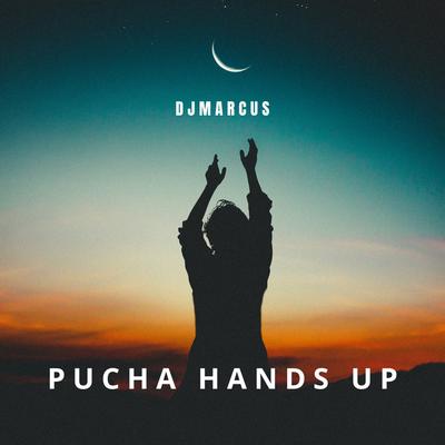 Pucha Hands Up (Instrumental Mix)'s cover