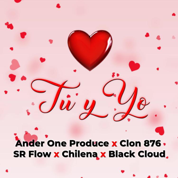 ANDER ONE PRODUCE's avatar image