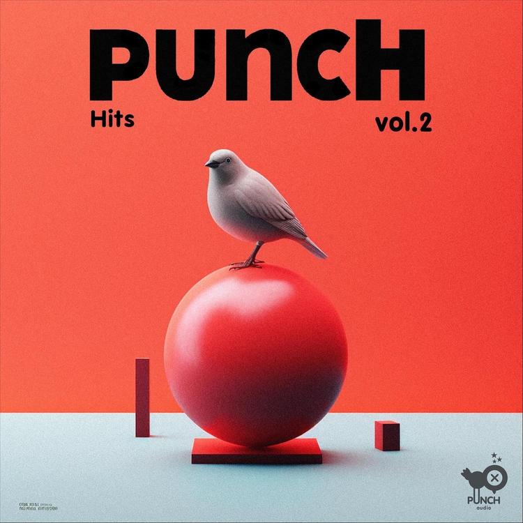 Punch Audio's avatar image