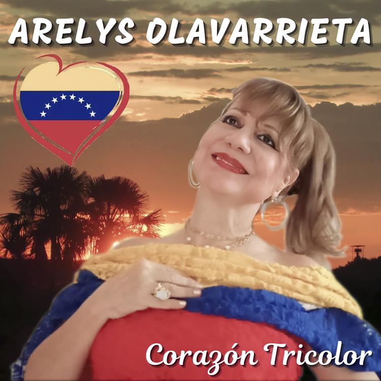 Arelys Olavarrieta's avatar image