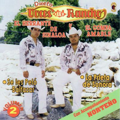 Se Les Peló Baltazar, Vol 2's cover