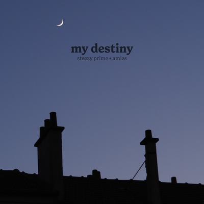 my destiny's cover