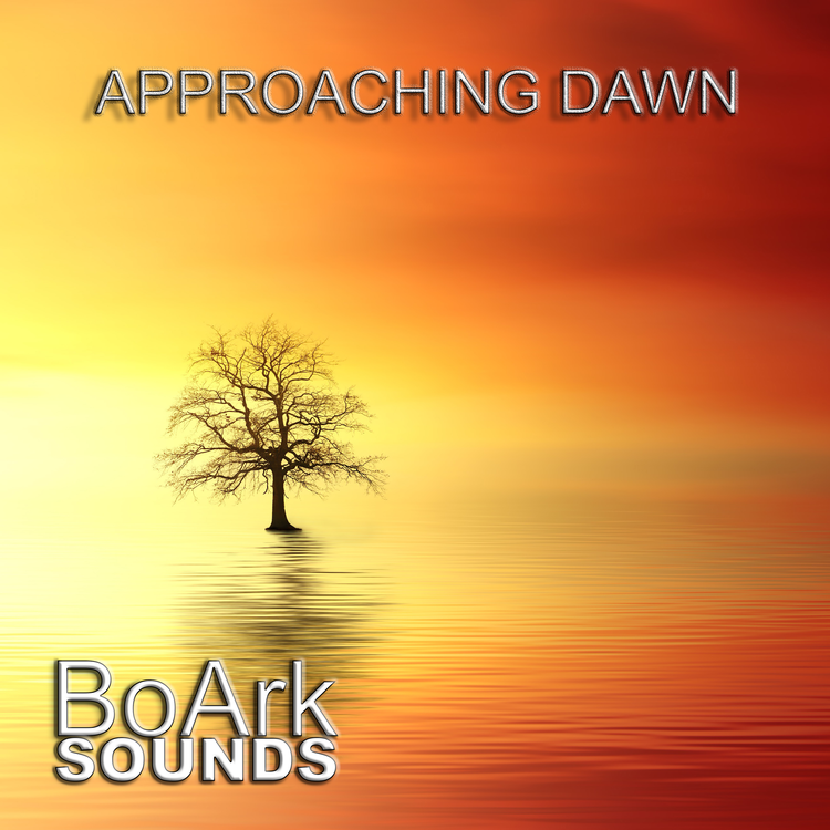 Boark Sounds's avatar image