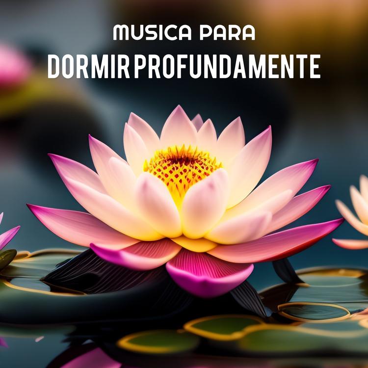 Musica Para Dormir Profundamente's avatar image