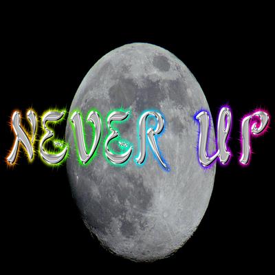 NEVER UP's cover