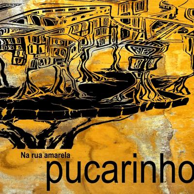 Luís Pucarinho's cover