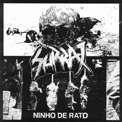Ninho de Rato By Surra's cover