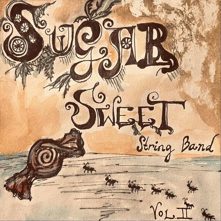 Sugar Sweet String Band's avatar image