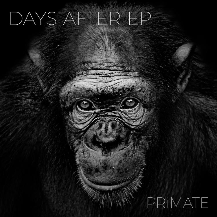 Primate's avatar image