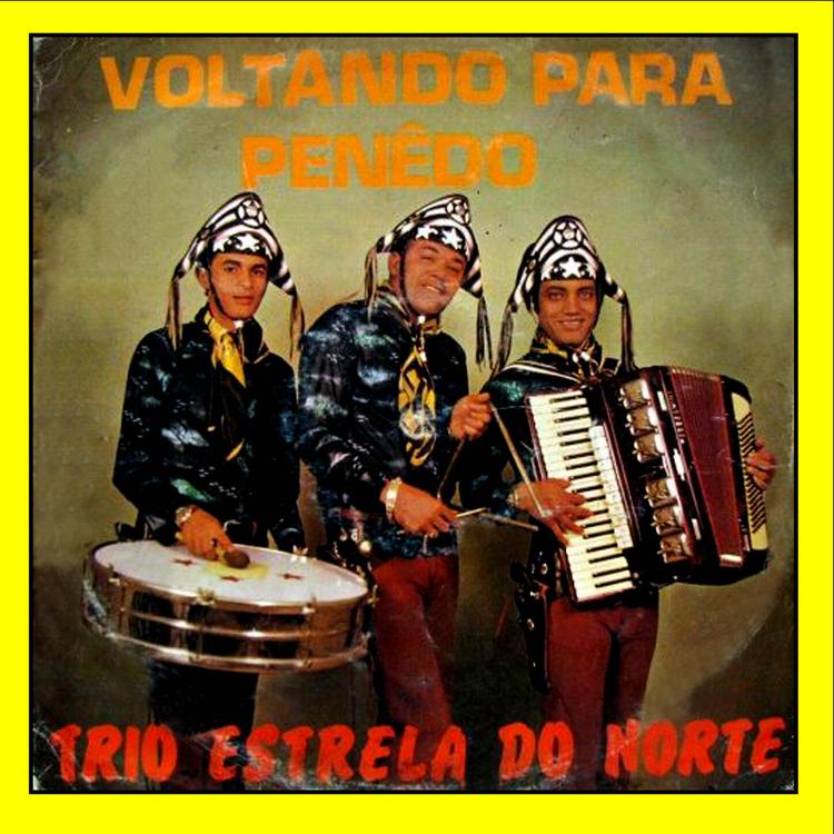 TRIO ESTRELA DO NORTE's avatar image