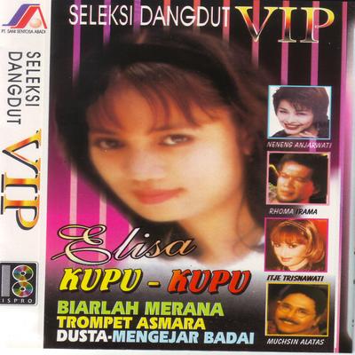 Seleksi Dangdut VIP's cover
