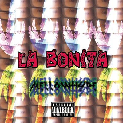 MellowHype's cover