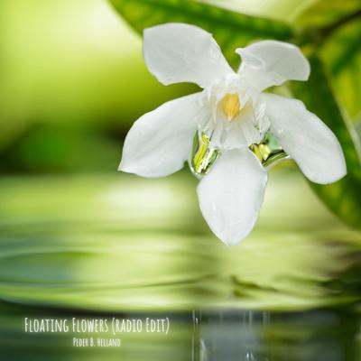 Floating Flowers (Radio Edit)'s cover