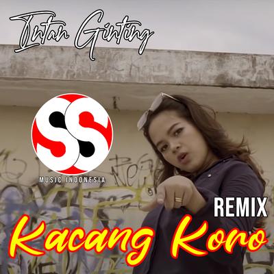 Kacang Koro (Versi Remix)'s cover