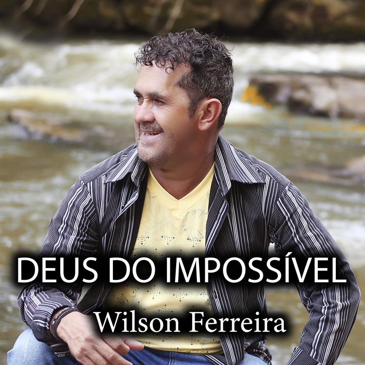 Wilson Ferreira's avatar image