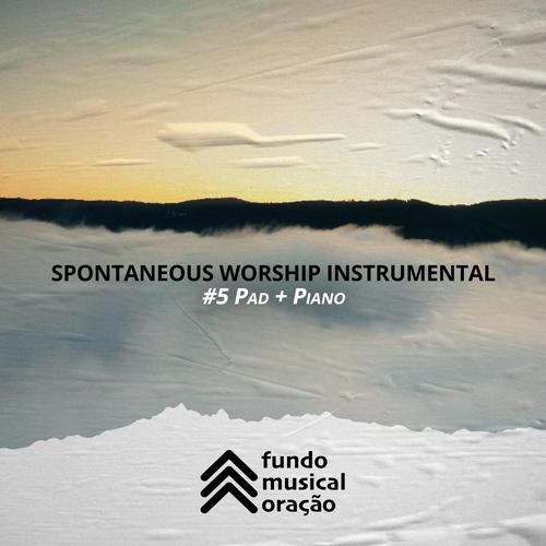 Spontaneous Instrumental Worship 5's cover