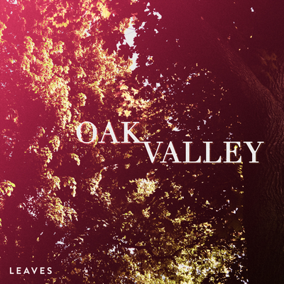 Leaves By Oak Valley's cover