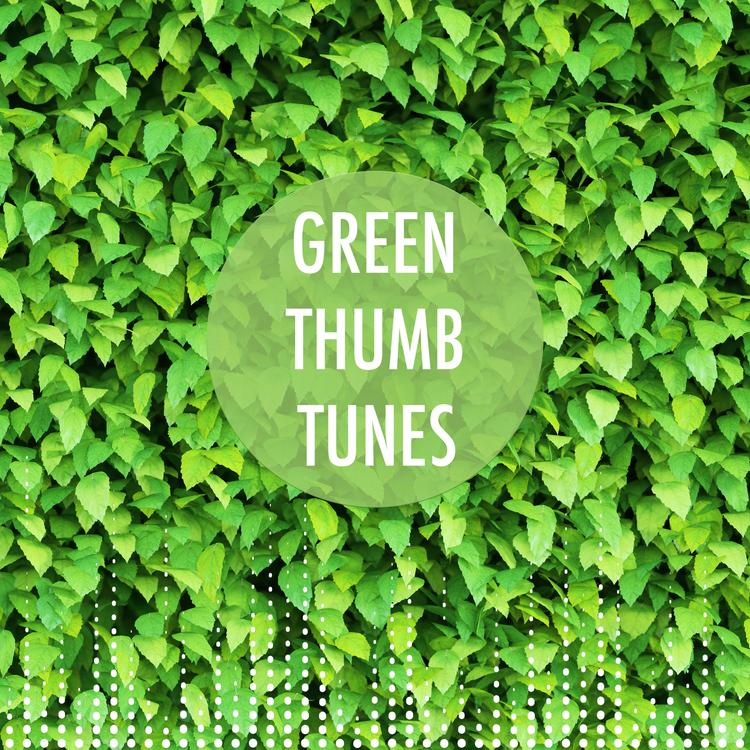 Green Noise For Sleep's avatar image