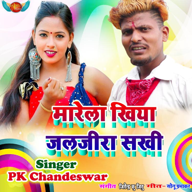 PK Chandeswar's avatar image