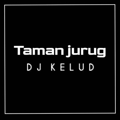 DJ TAMAN JURUG's cover