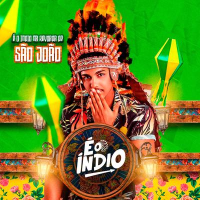 É o Índio na Revoada de São João By E O Índio's cover