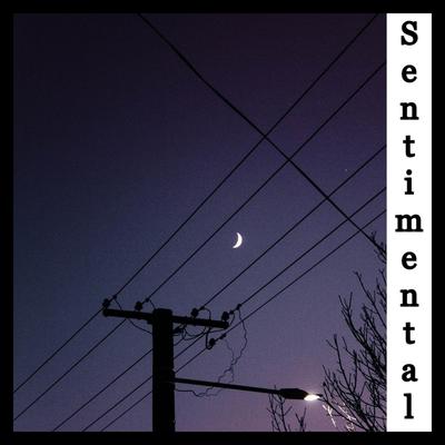 Sentimental By Nateki's cover