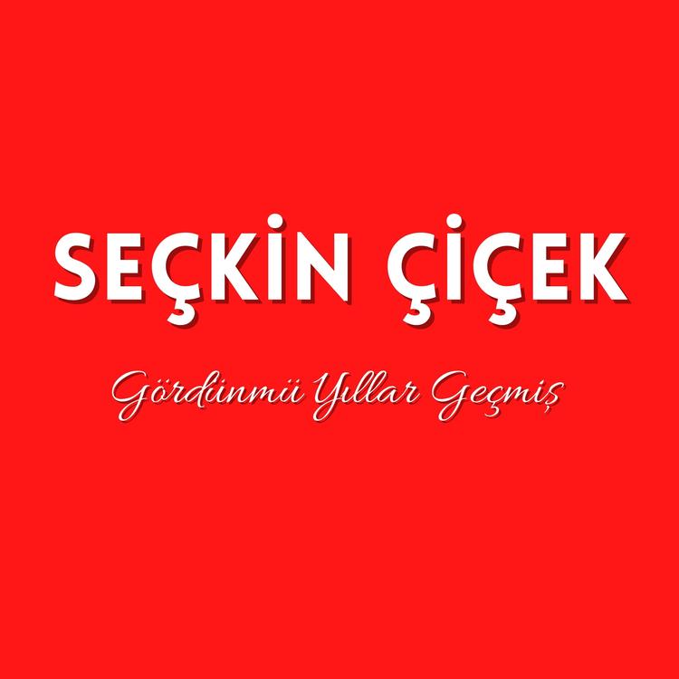 Seçkin Çiçek's avatar image