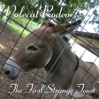 The First Strange Town's cover