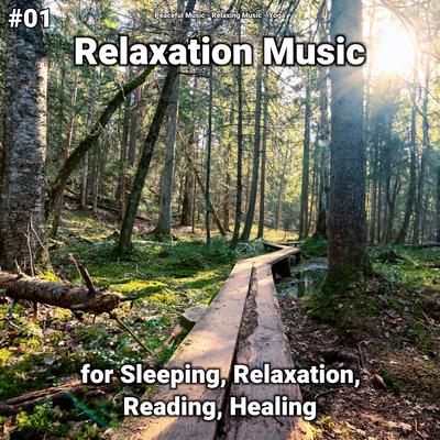 Beautiful Sounds By Yoga, Peaceful Music, Relaxing music's cover