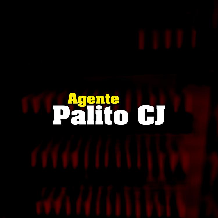 Palito CJ's avatar image