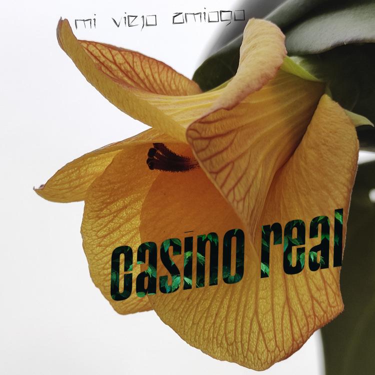 casino real's avatar image