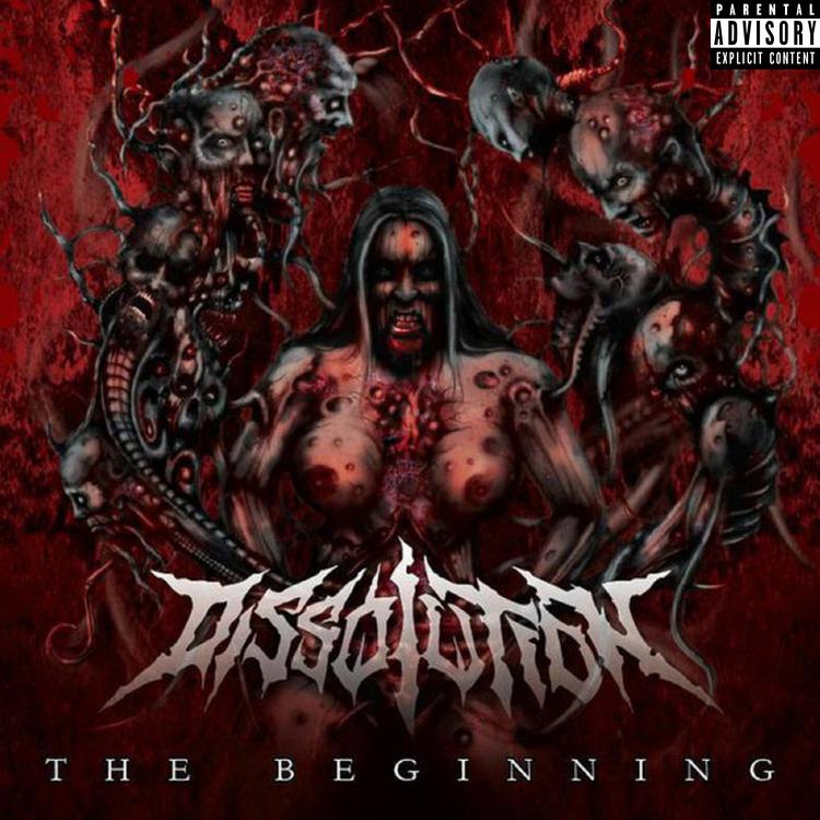 Dissolution's avatar image